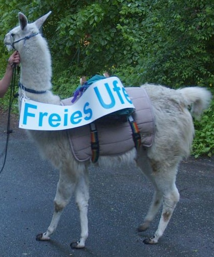 Lama auf 8.Montagsdemo