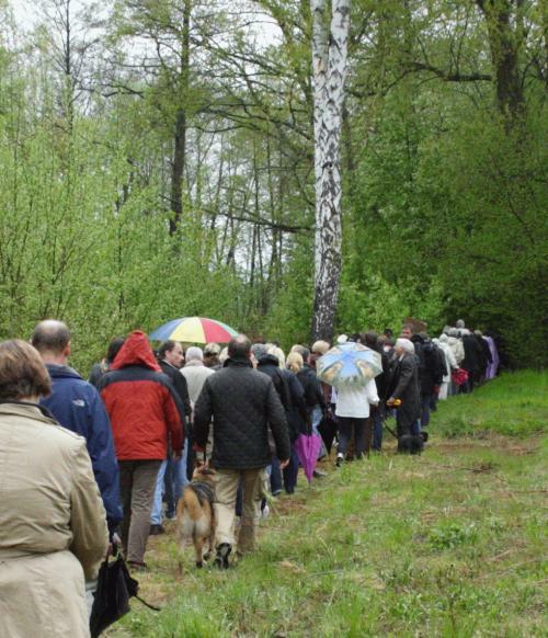 Im Gänsemarsch zur Seeseite Im Gänsemarsch zur Seeseite